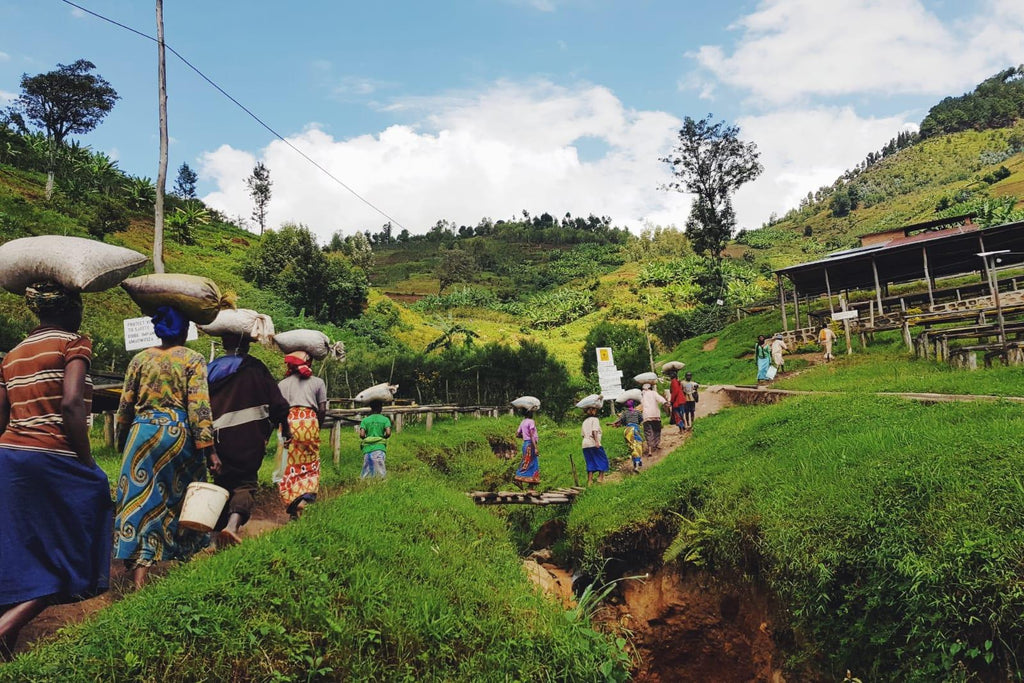 盧旺達 Rwanda