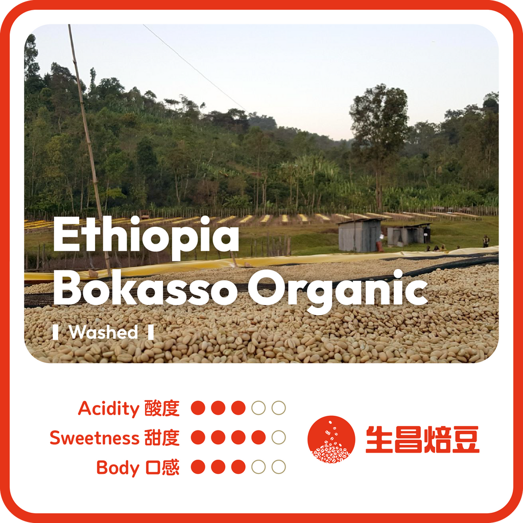 Ethiopia Sidamo Bokasso Organic | Washed 水洗