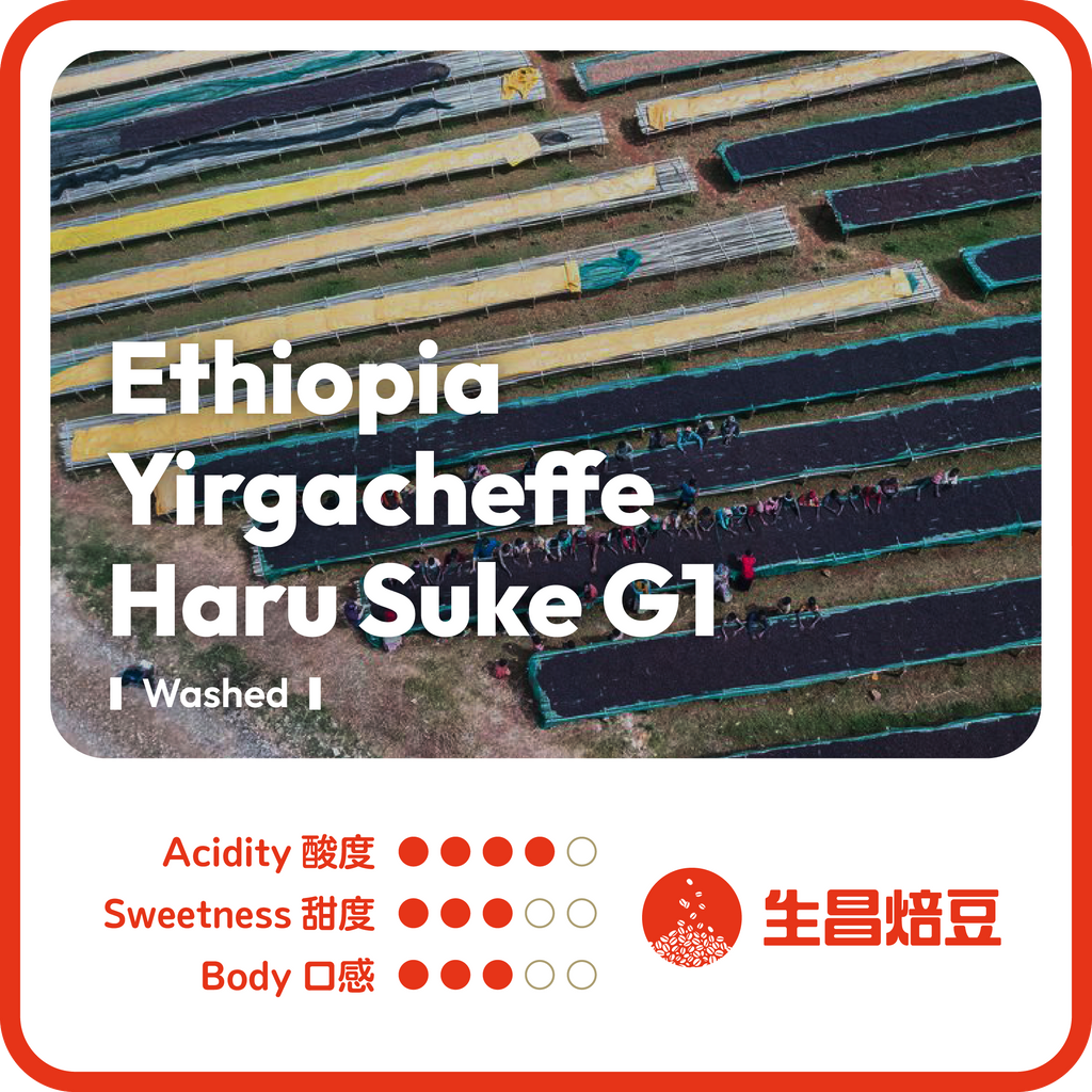 Ethiopia Yirgacheffe Haru Suke G1 | Washed 水洗