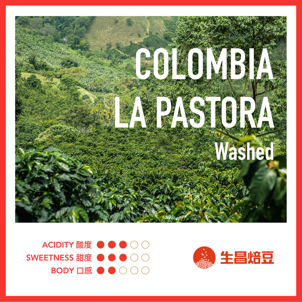 Colombia La Pastora | Washed 水洗