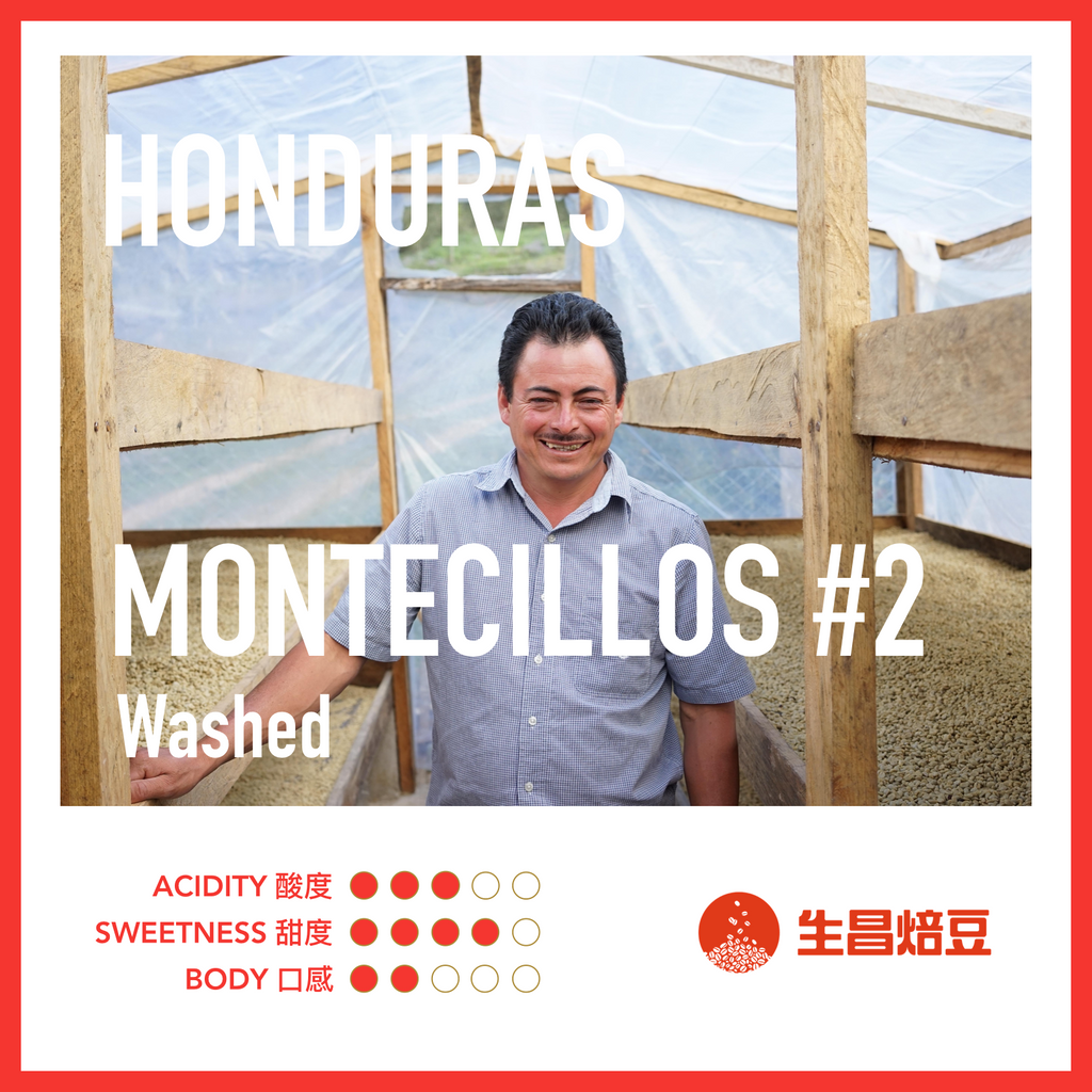 Honduras Montecillos #2 by Wilmer Grau | Washed 水洗