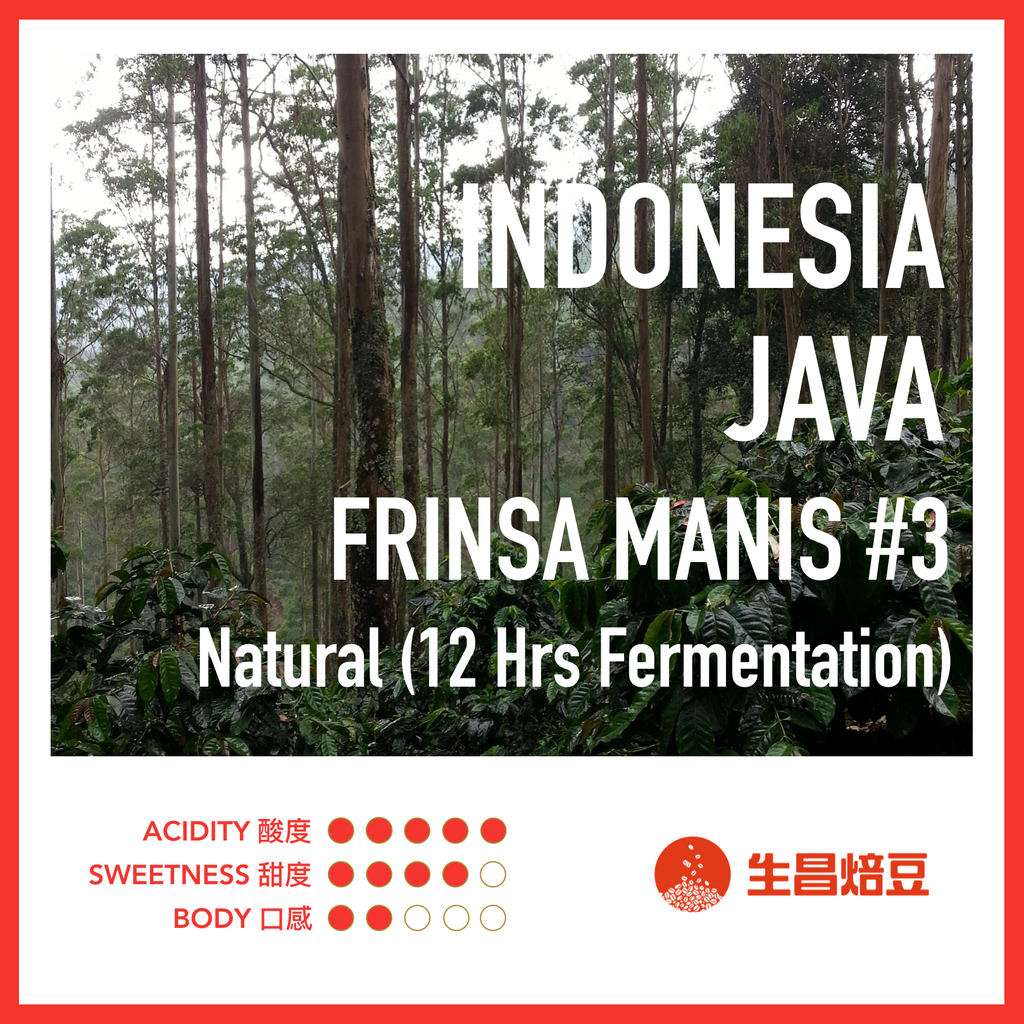 Indonesia Java Frinsa Manis #3 | Natural (12 hours Fermentation) 日曬 (12小時發酵)